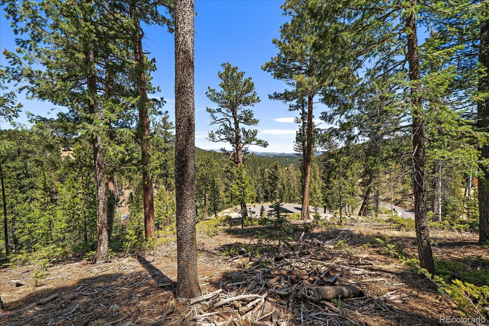 6855 Lynx Lair Road Evergreen CO 80439