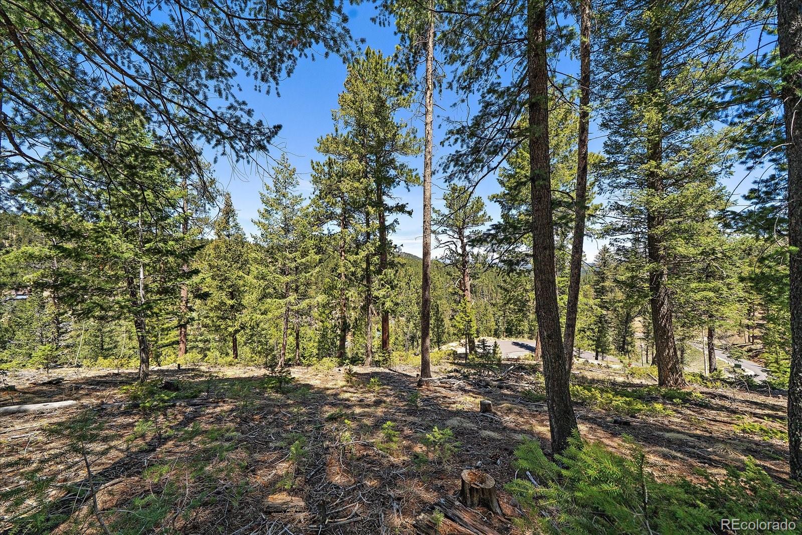 6855 Lynx Lair Road Evergreen CO 80439