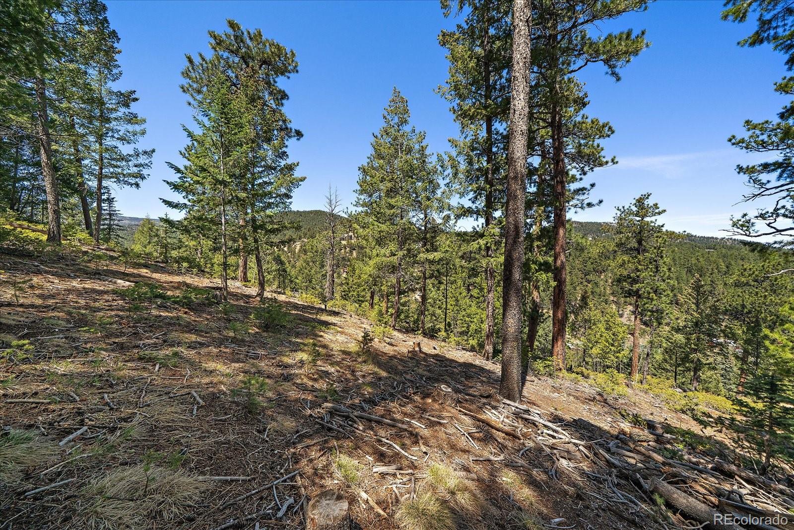 6855 Lynx Lair Road Evergreen CO 80439