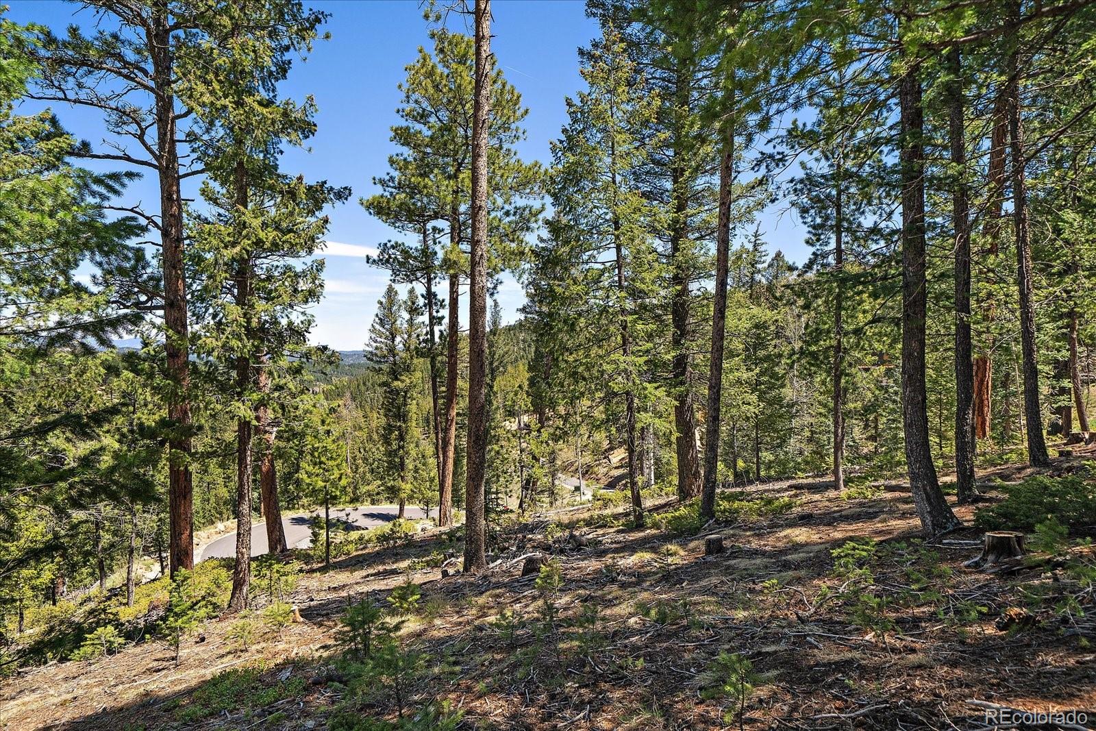 6855 Lynx Lair Road Evergreen CO 80439