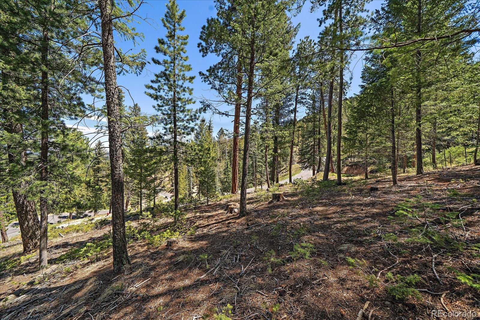 6855 Lynx Lair Road Evergreen CO 80439