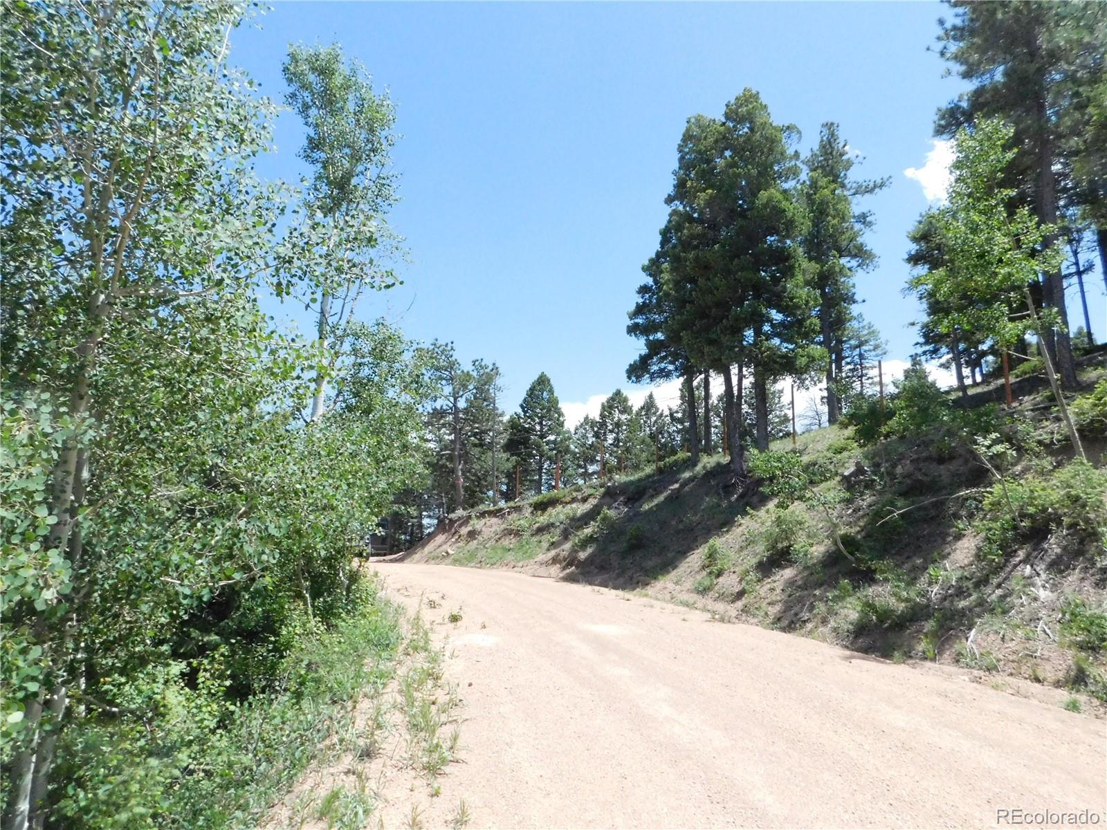 13670 Spruce Creek Circle Larkspur CO 80118