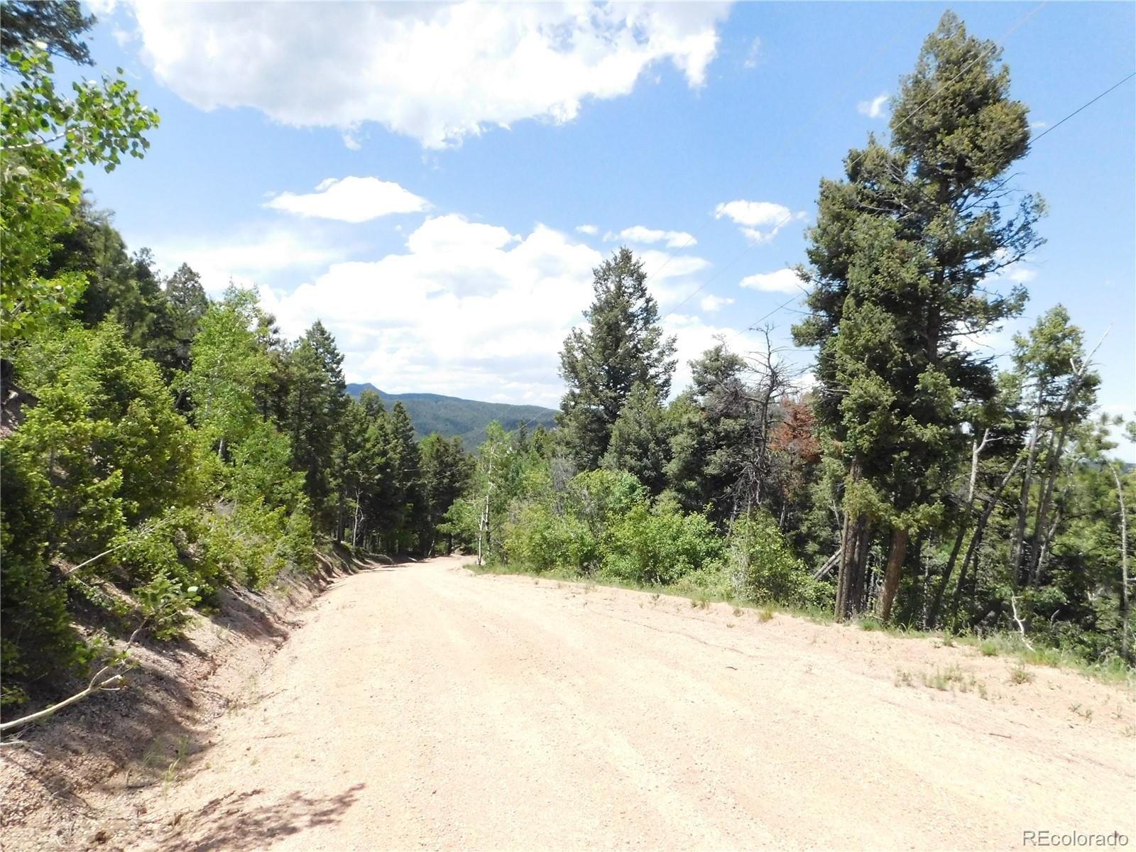 13670 Spruce Creek Circle Larkspur CO 80118