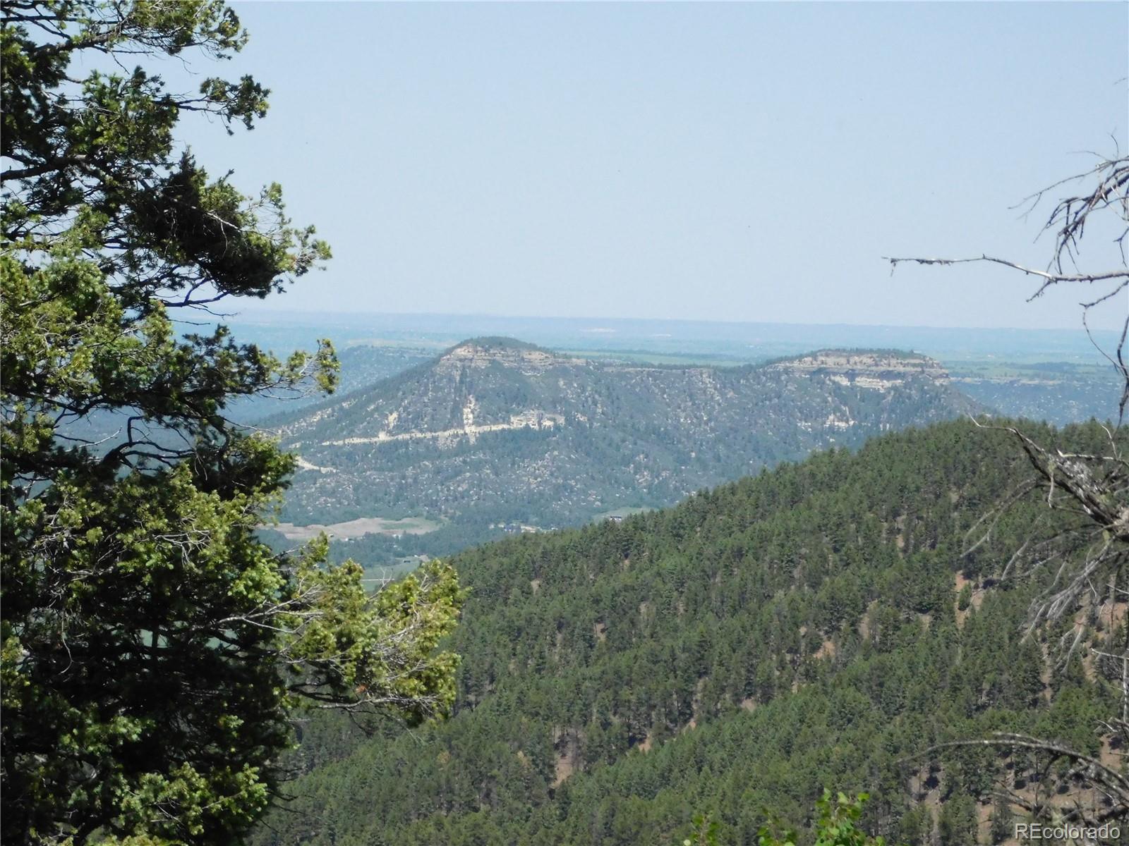 13670 Spruce Creek Circle Larkspur CO 80118