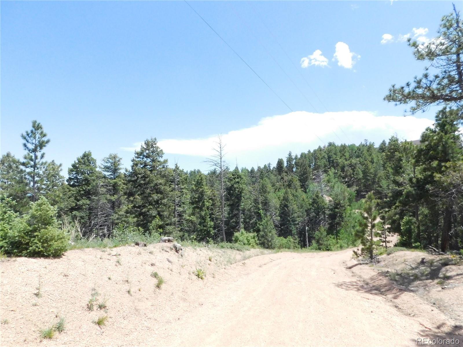 13670 Spruce Creek Circle Larkspur CO 80118