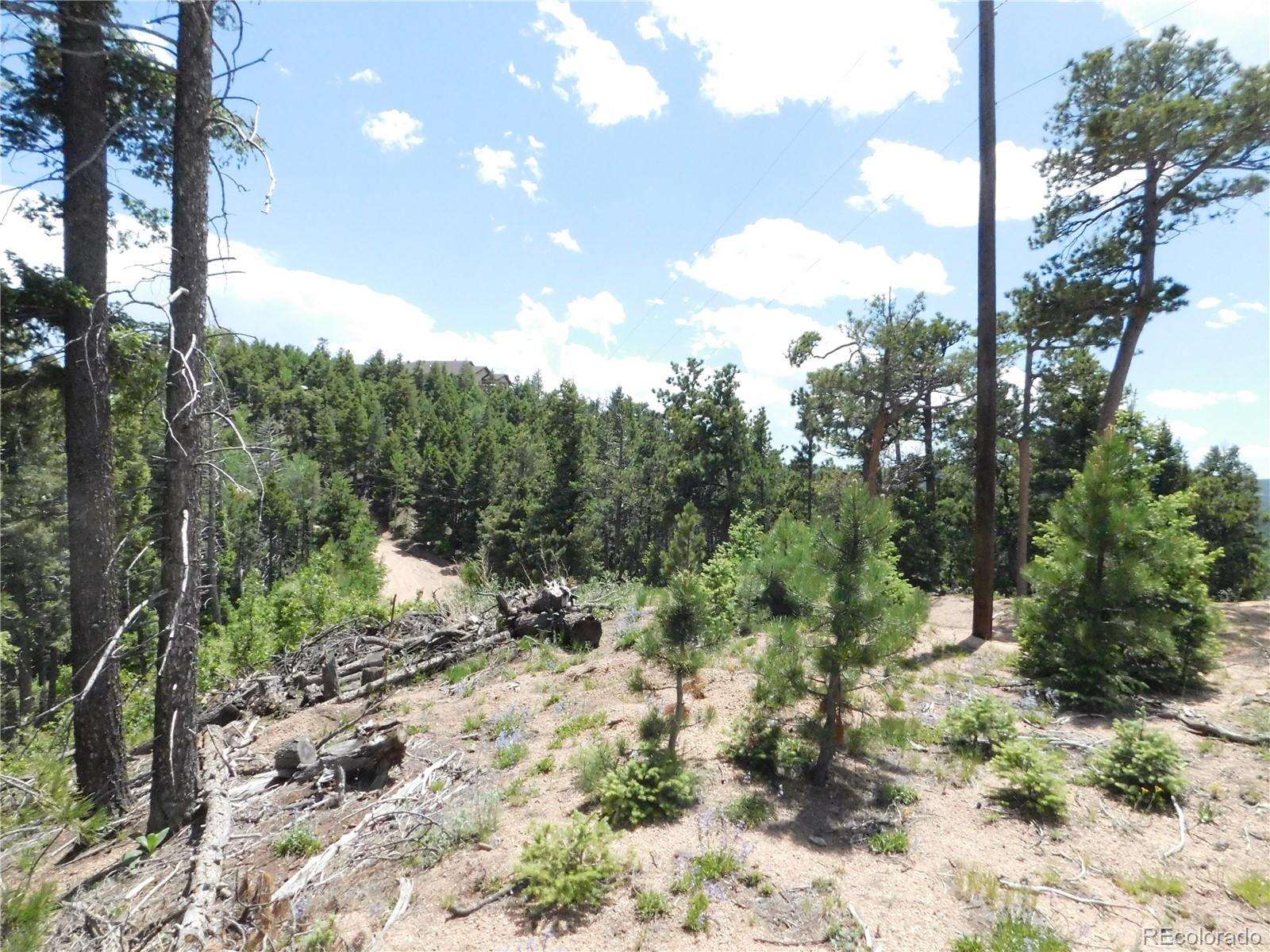 13670 Spruce Creek Circle Larkspur CO 80118