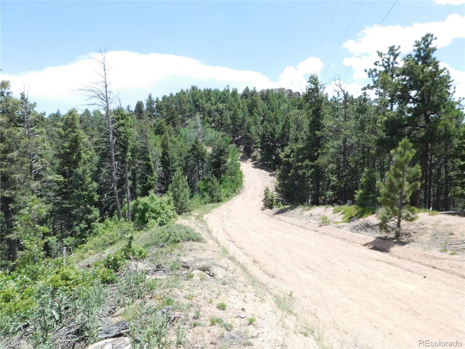 13670 Spruce Creek Circle Larkspur CO 80118