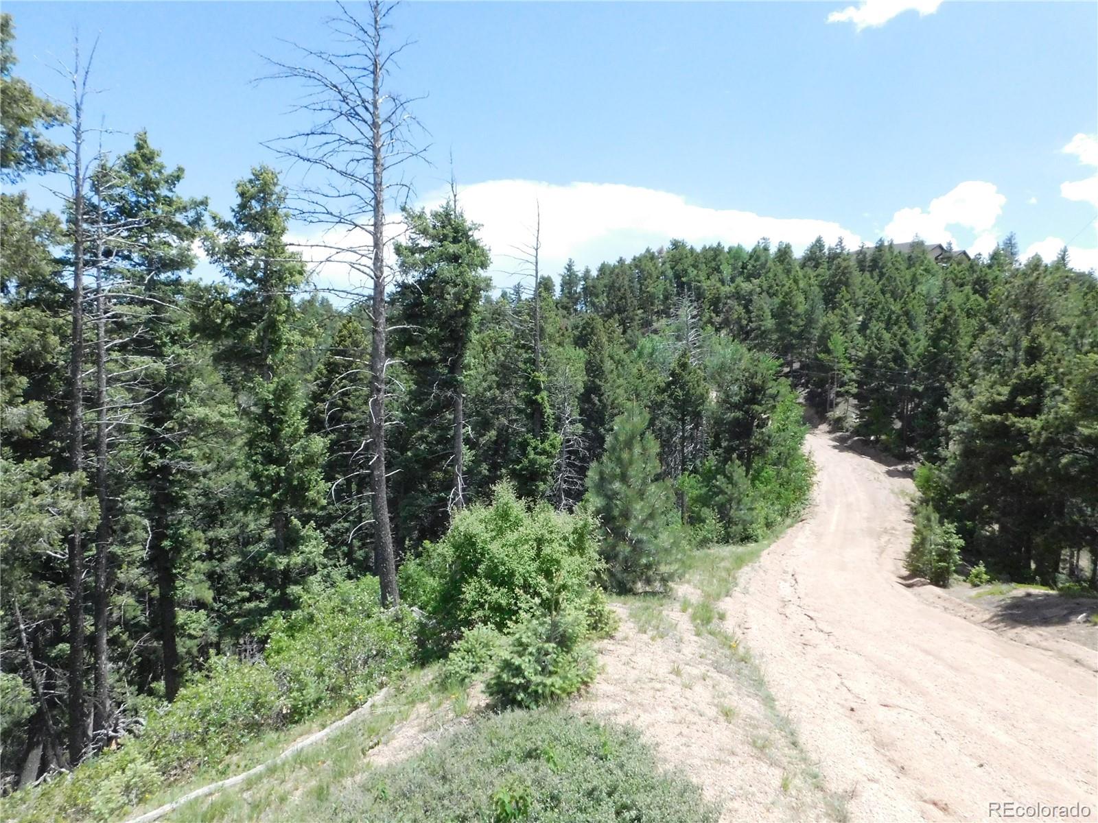 13670 Spruce Creek Circle Larkspur CO 80118