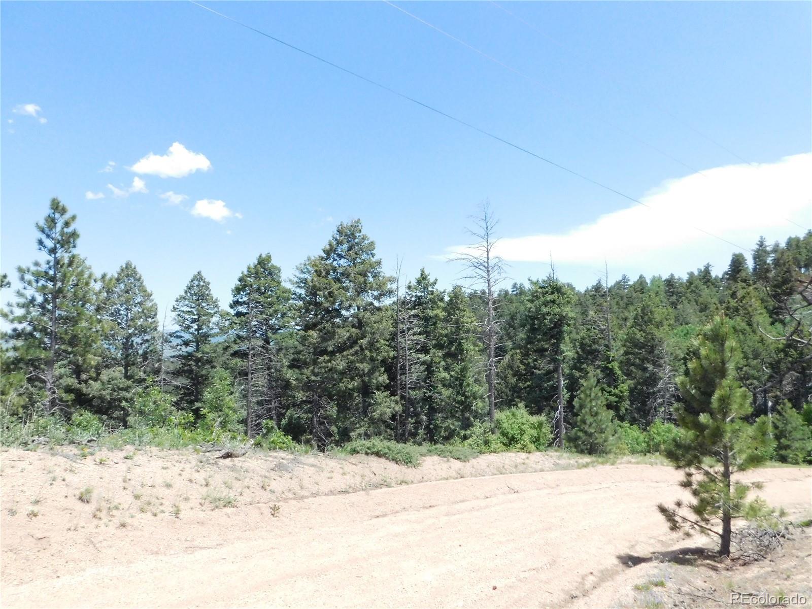 13670 Spruce Creek Circle Larkspur CO 80118