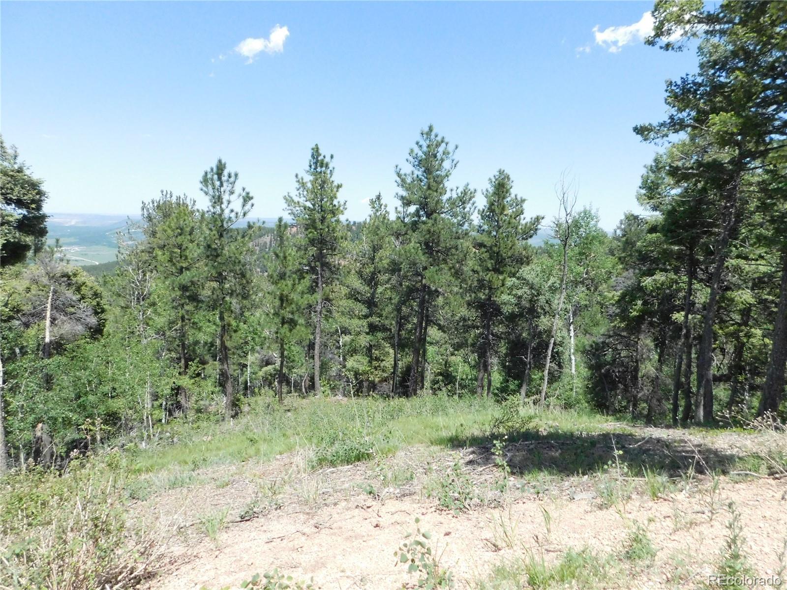 13670 Spruce Creek Circle Larkspur CO 80118