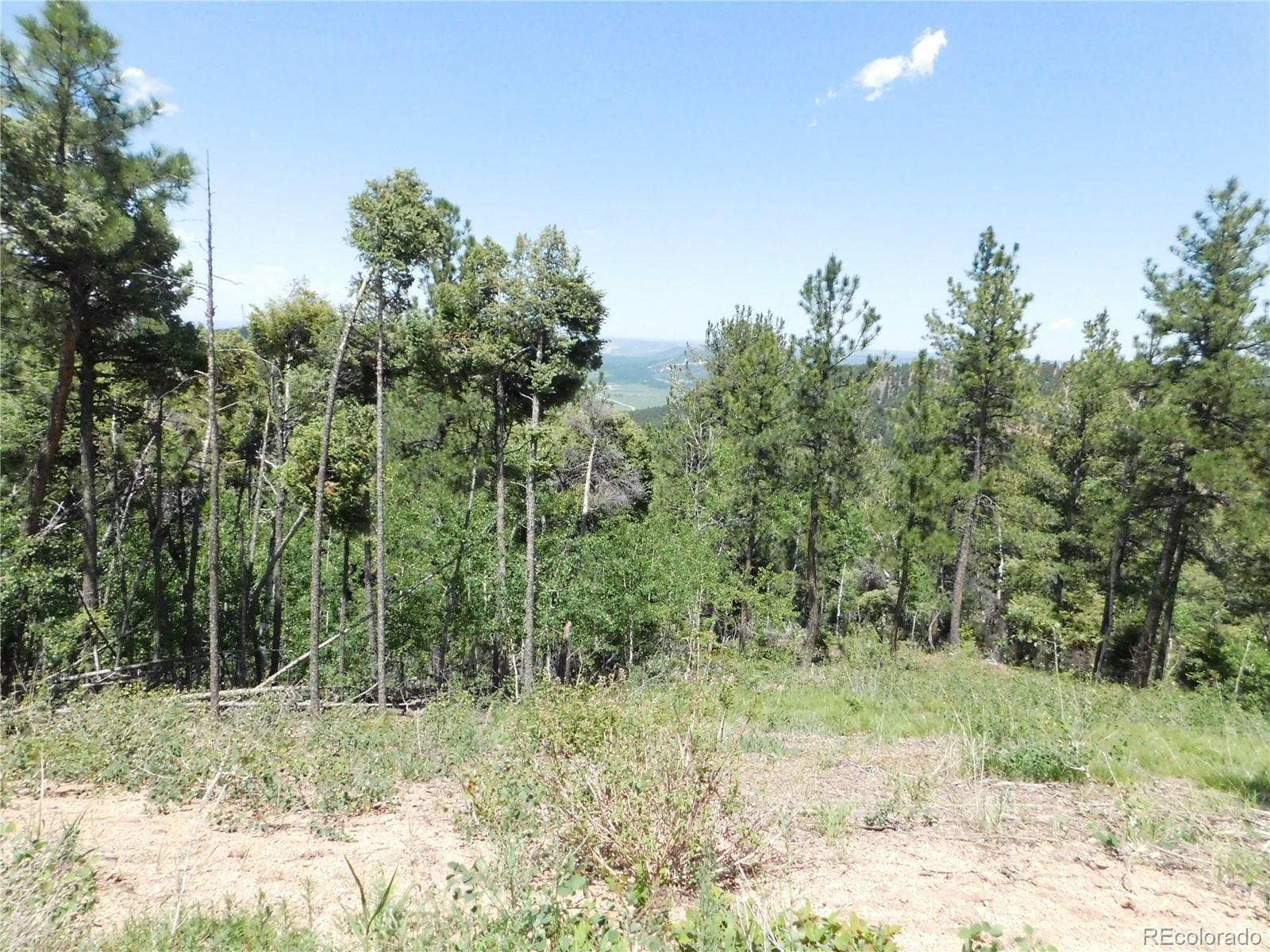13670 Spruce Creek Circle Larkspur CO 80118