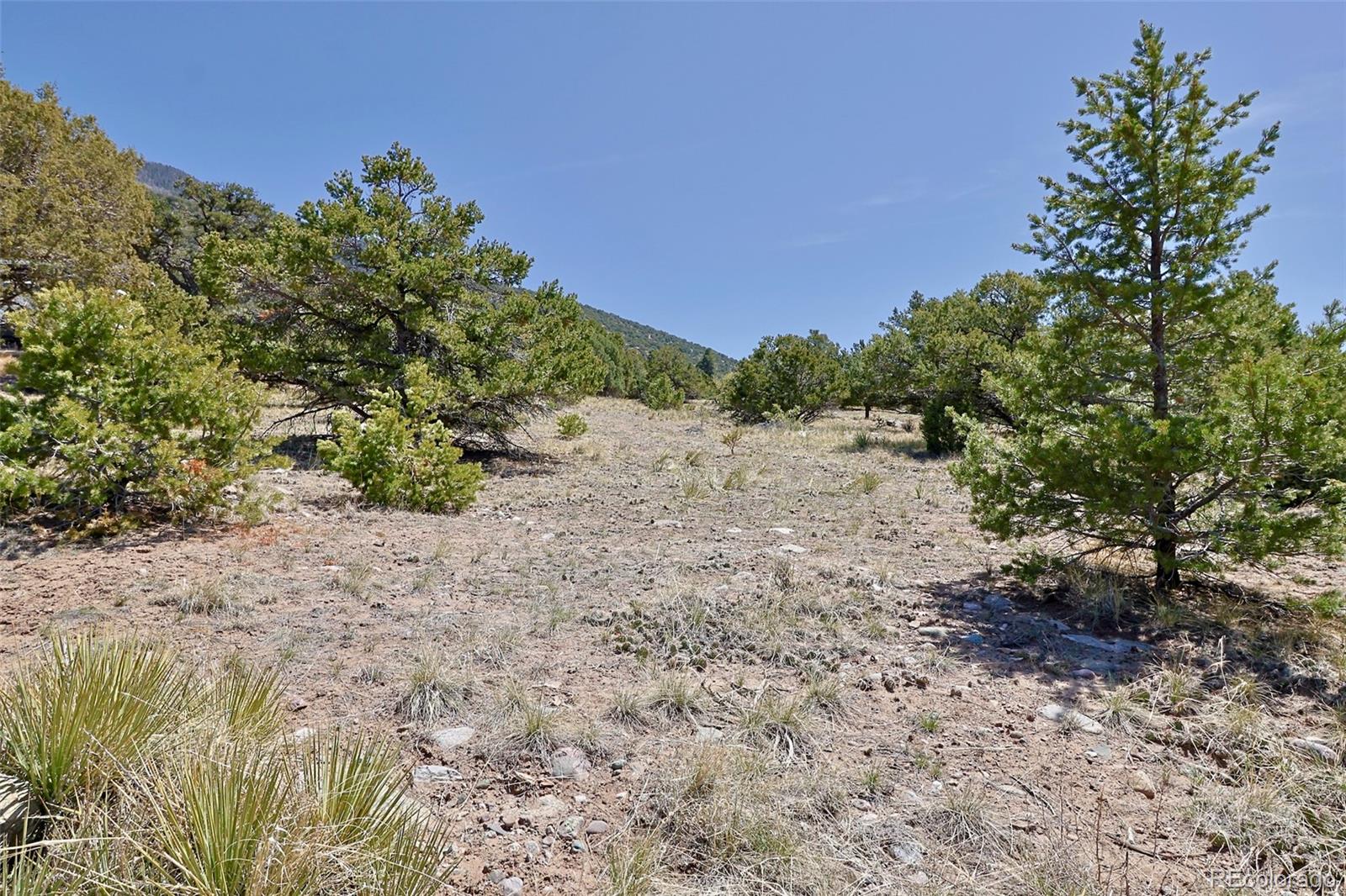 4319 Rambling Way Crestone CO 81131