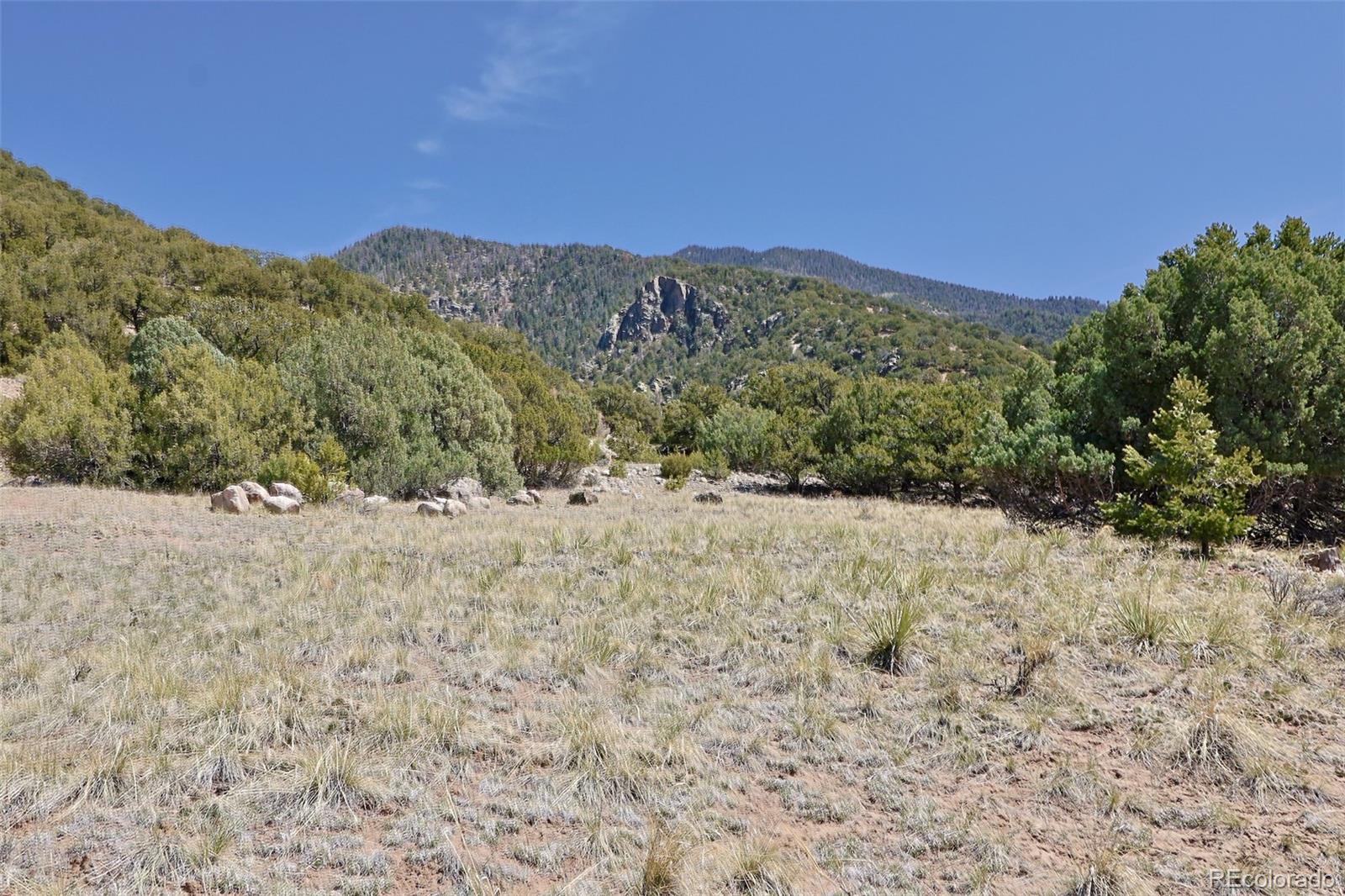4319 Rambling Way Crestone CO 81131