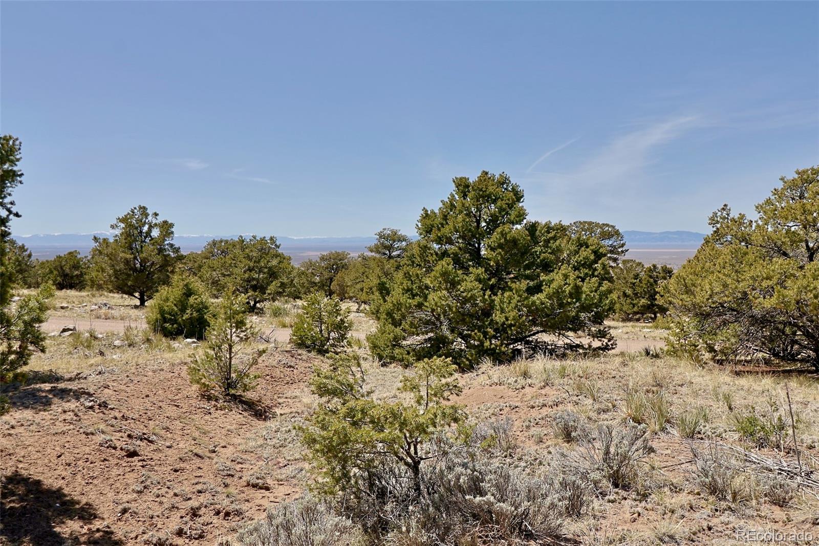 4319 Rambling Way Crestone CO 81131