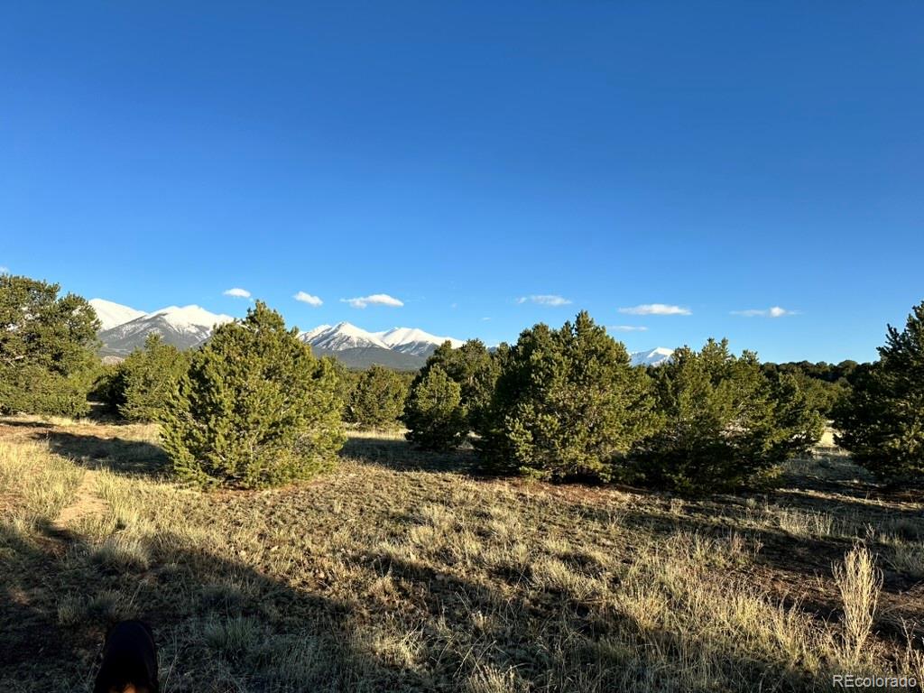 14041 Highway 285 Salida CO 81201