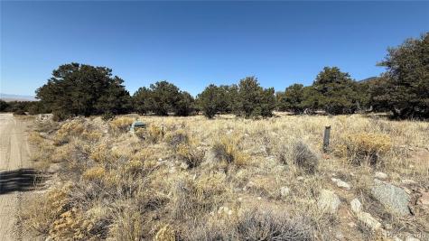 1872 Rockyview Way Crestone CO 81131