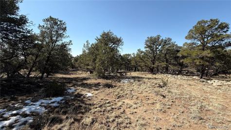 1872 Rockyview Way Crestone CO 81131