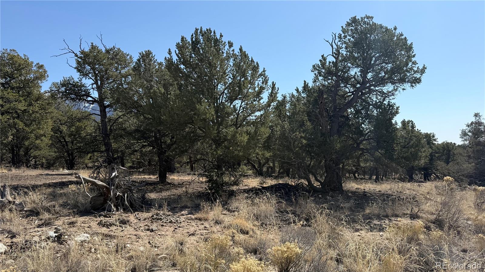 1872 Rockyview Way Crestone CO 81131