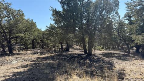 1872 Rockyview Way Crestone CO 81131