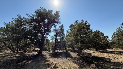 1872 Rockyview Way Crestone CO 81131