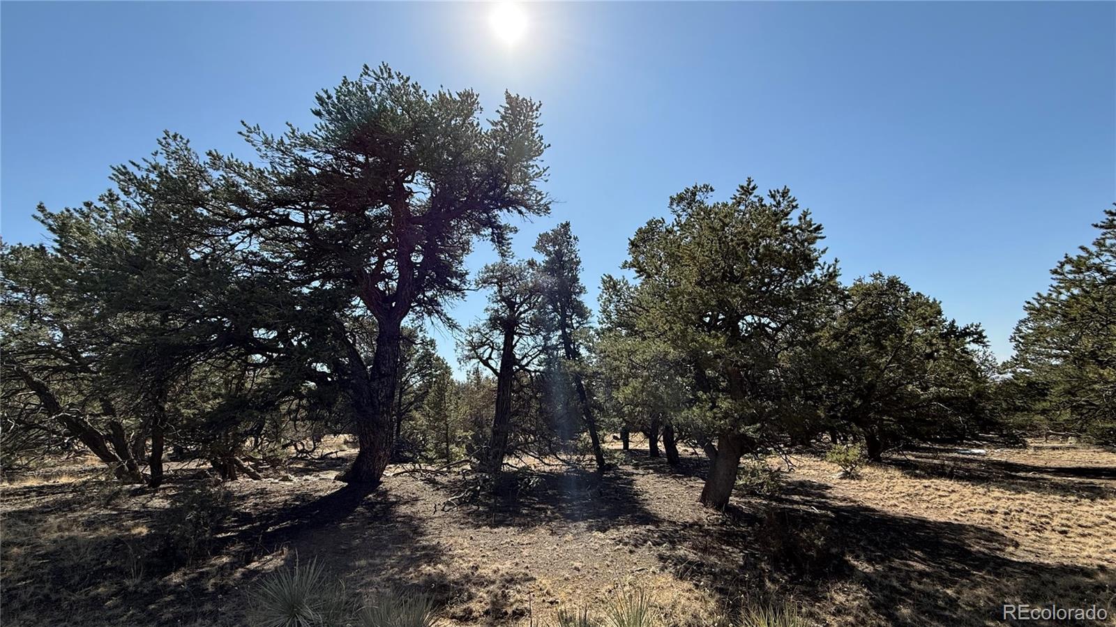 1872 Rockyview Way Crestone CO 81131