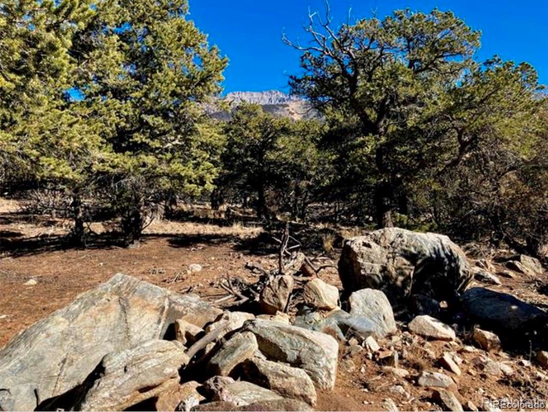 1872 Rockyview Way Crestone CO 81131