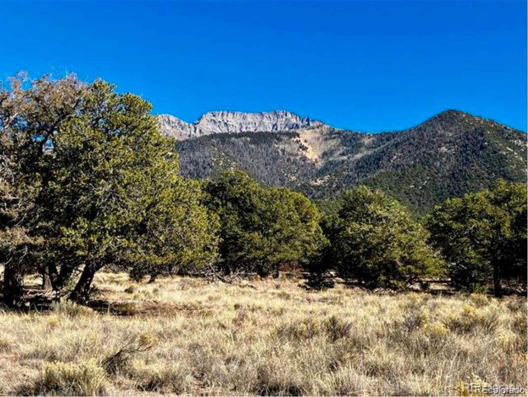 1872 Rockyview Way Crestone CO 81131