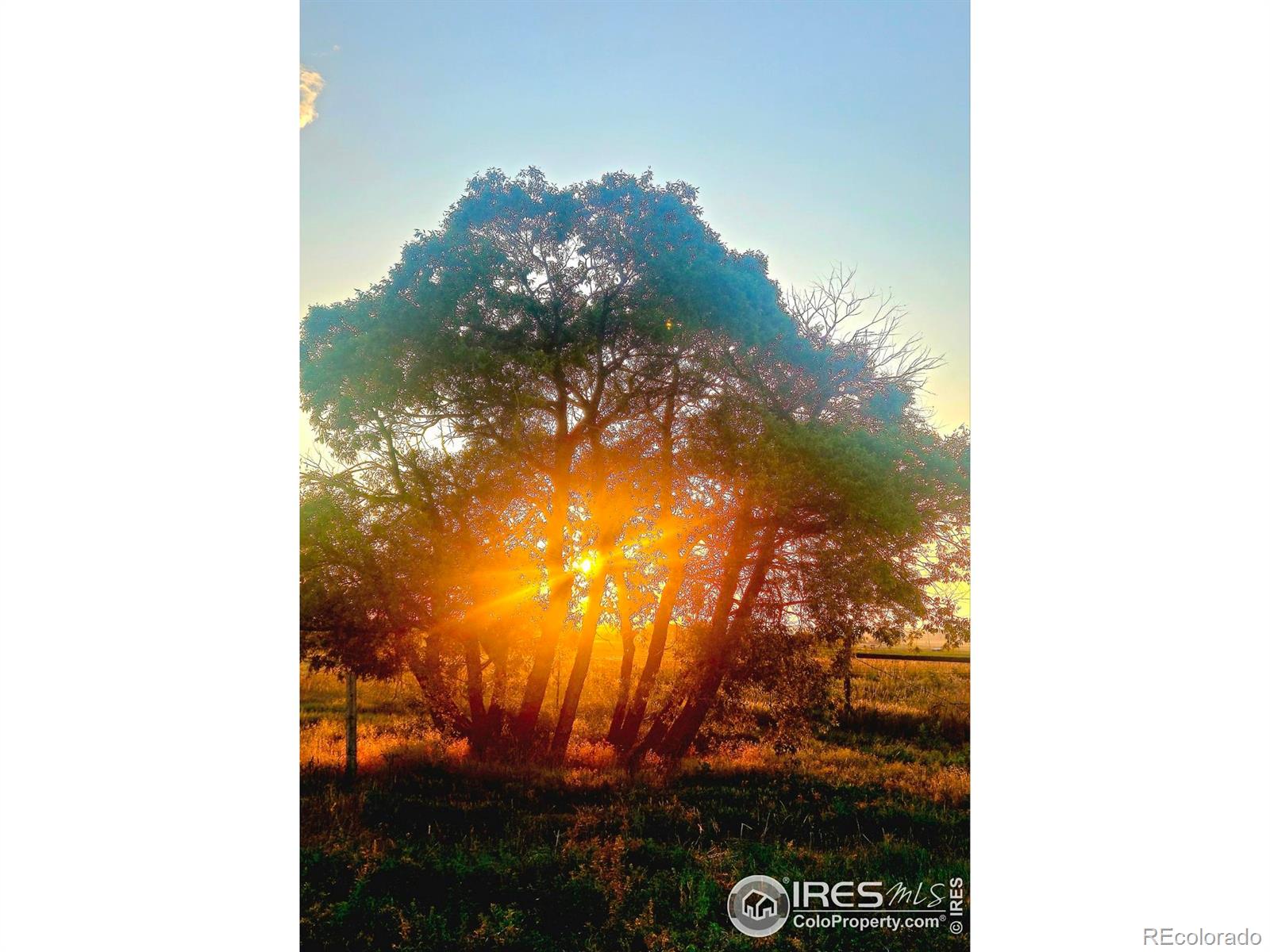 18510 County Road 39 La Salle CO 80645