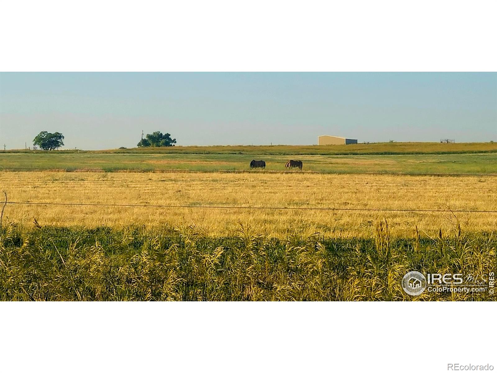 18510 County Road 39 La Salle CO 80645