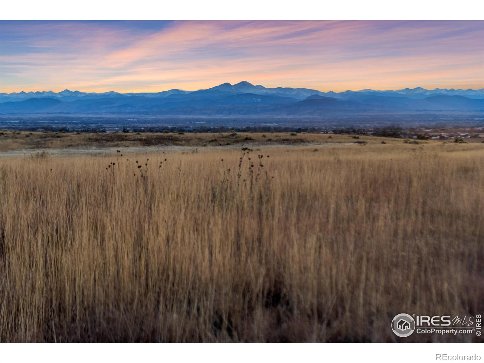 7929 County Road 84 Fort Collins CO 80524