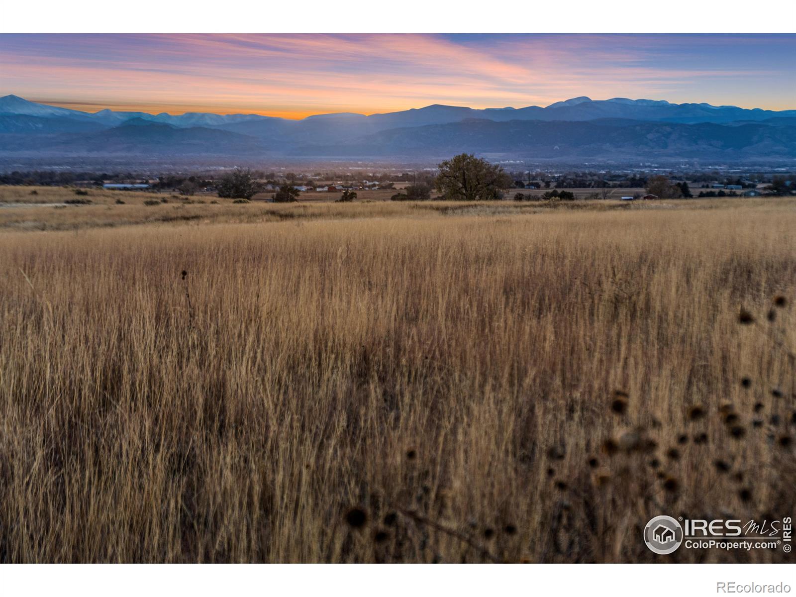 7929 County Road 84 Fort Collins CO 80524