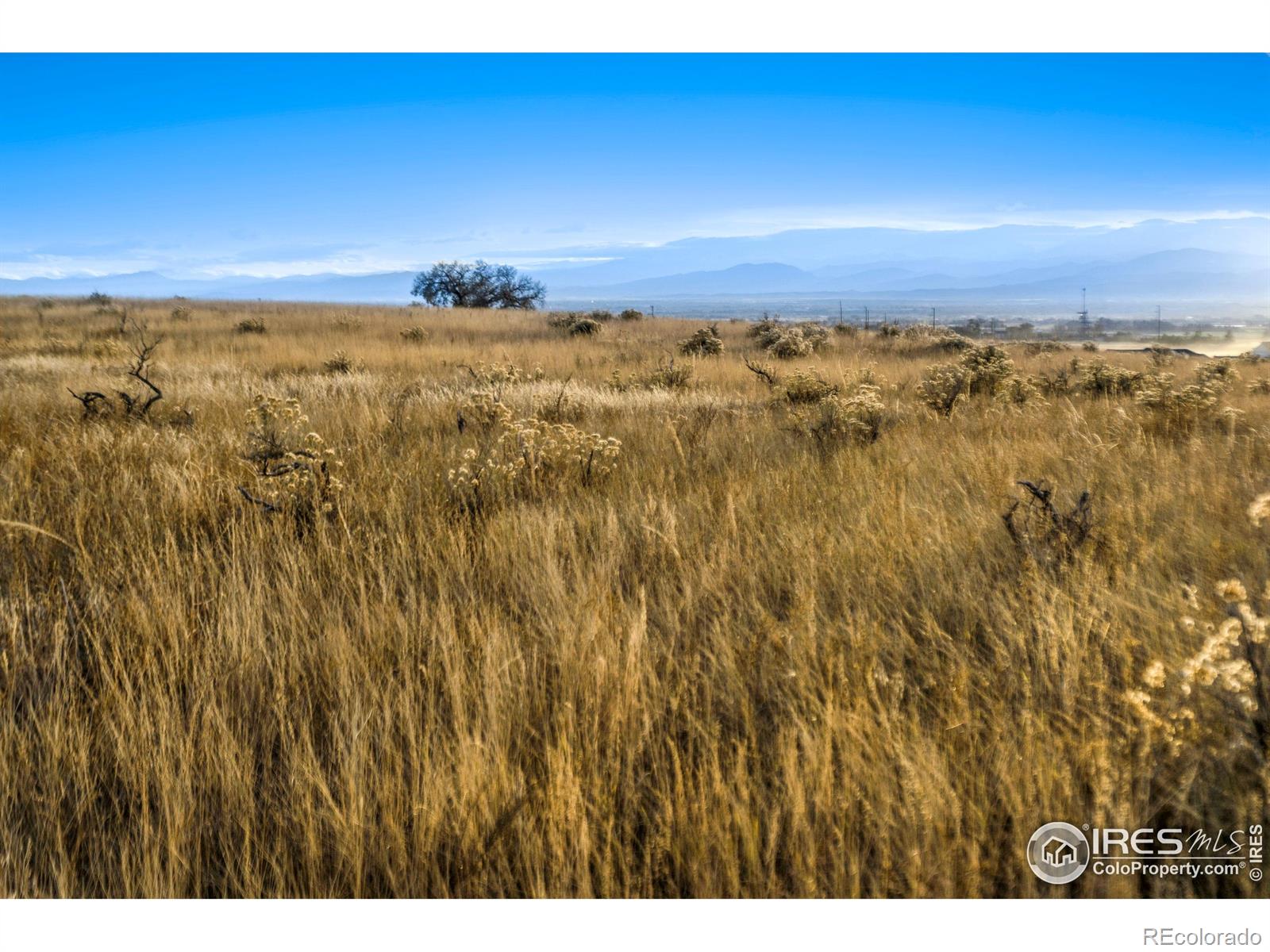 7929 County Road 84 Fort Collins CO 80524
