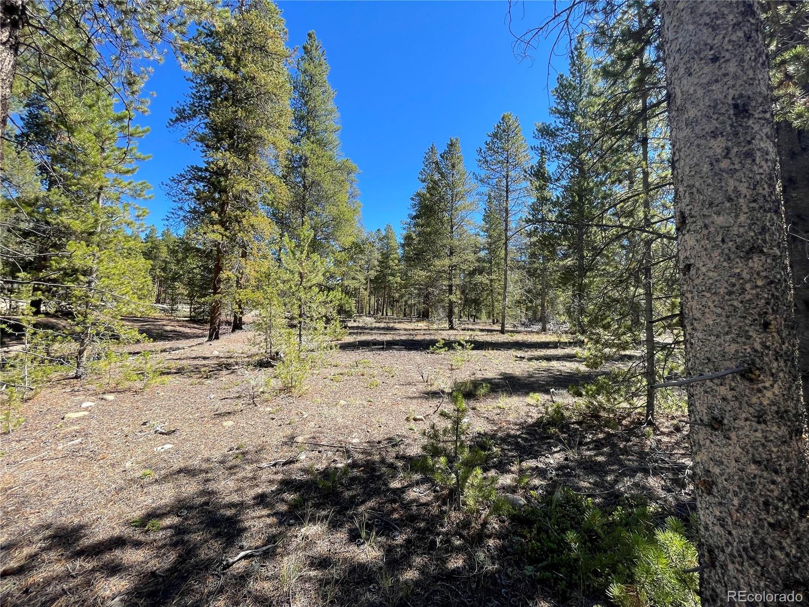 100 Virginia Avenue Leadville CO 80461