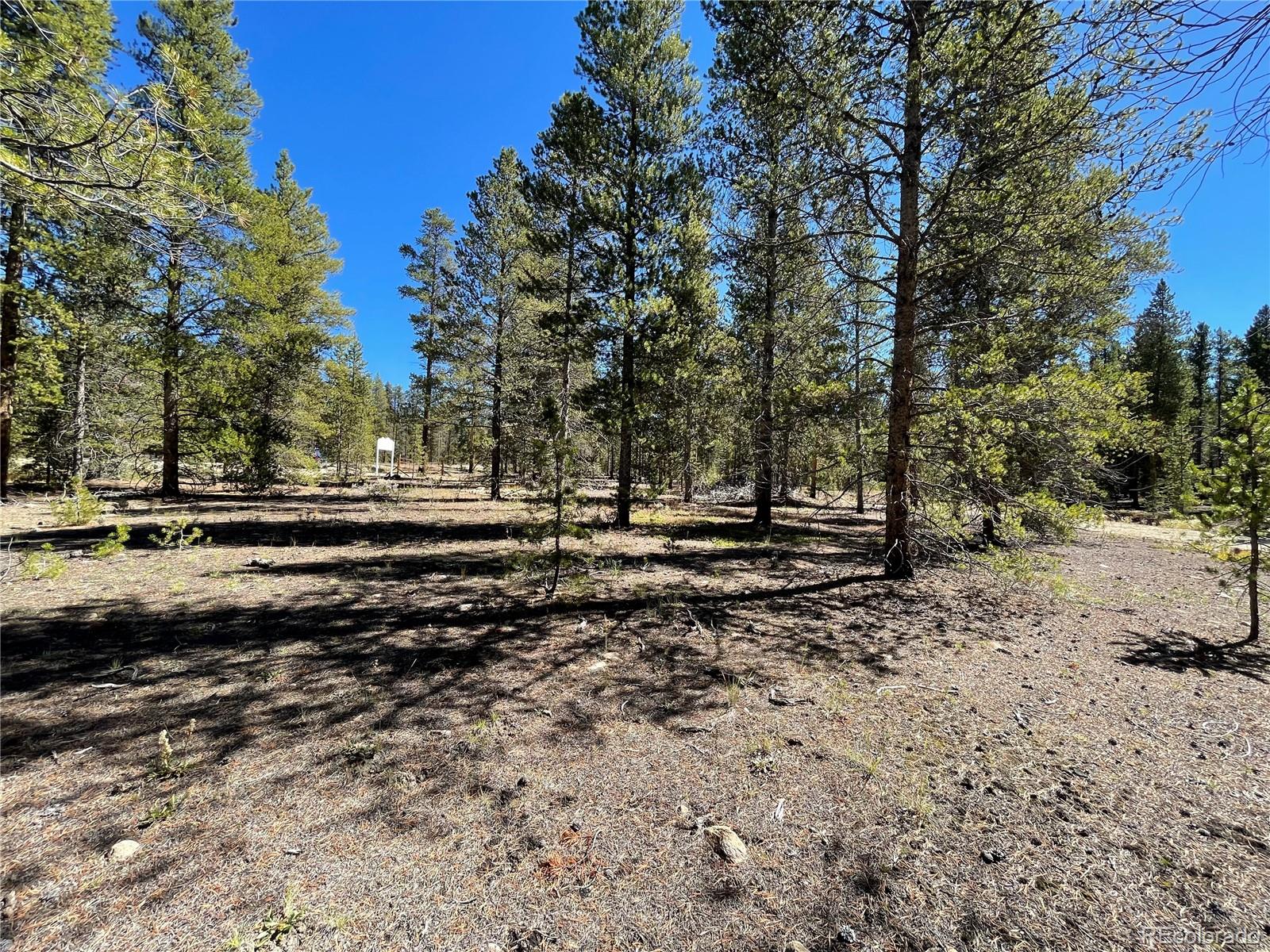 100 Virginia Avenue Leadville CO 80461