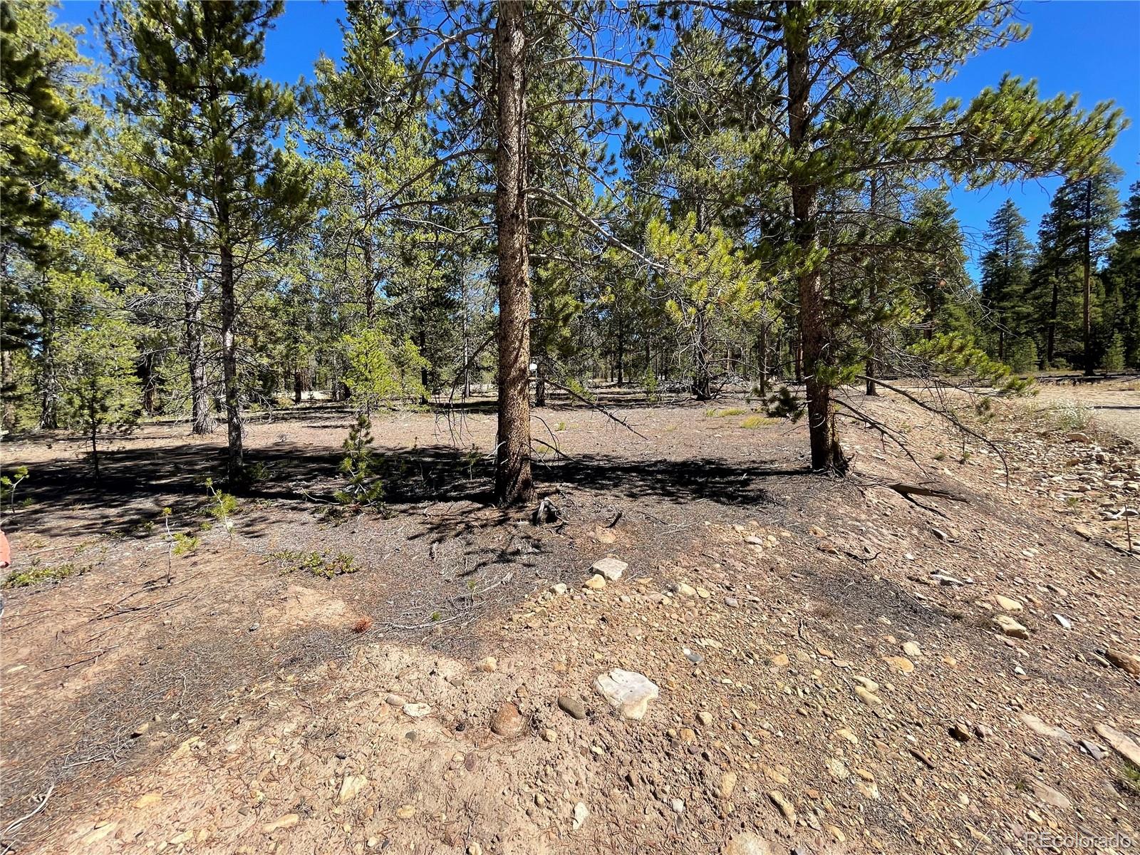 100 Virginia Avenue Leadville CO 80461