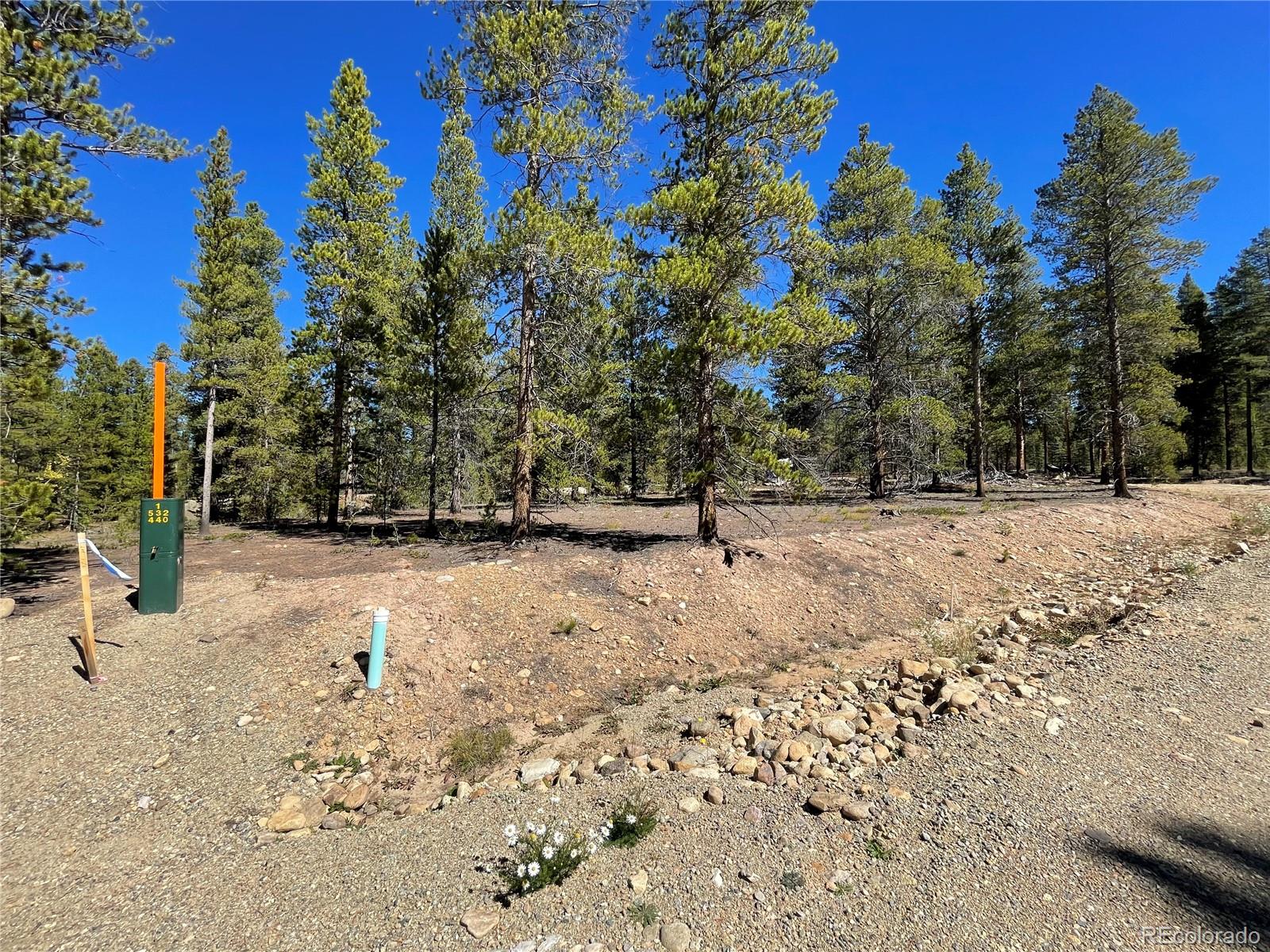 100 Virginia Avenue Leadville CO 80461