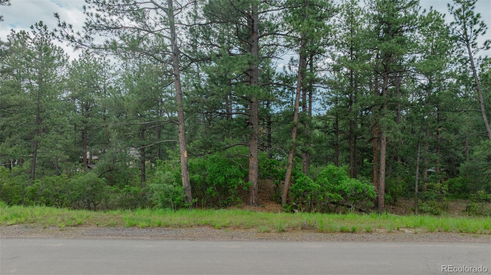 648 Copper Fox Place Larkspur CO 80118
