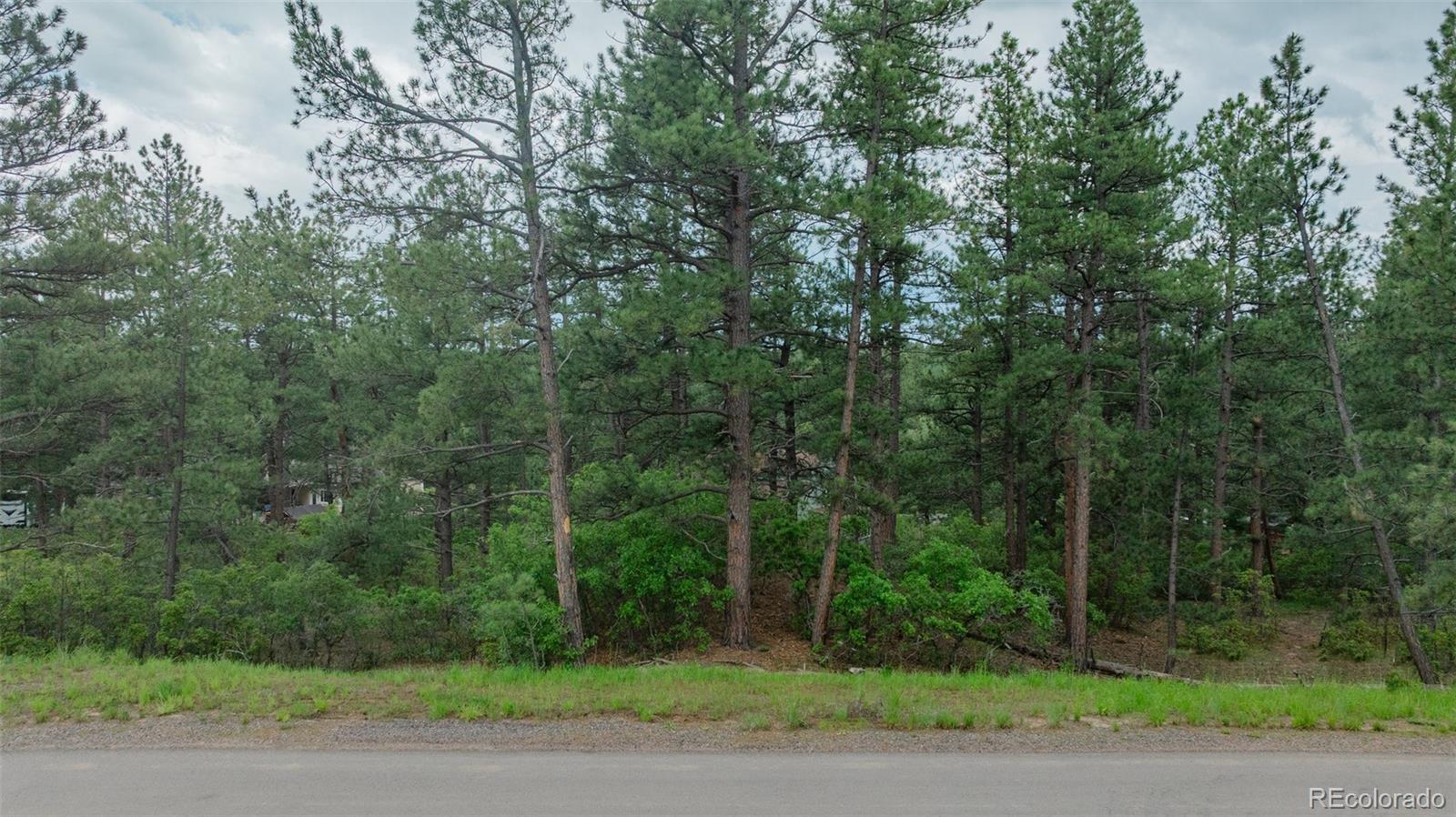 648 Copper Fox Place Larkspur CO 80118