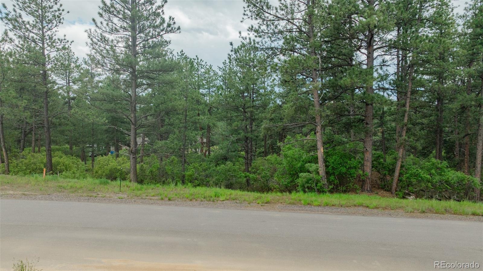 648 Copper Fox Place Larkspur CO 80118
