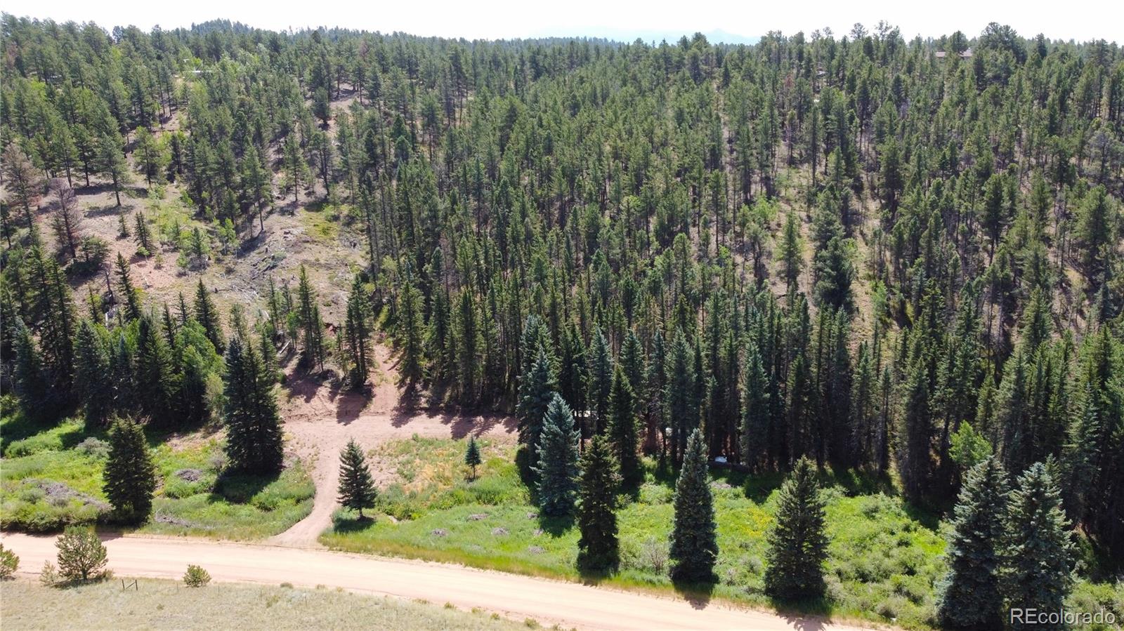 1570 Pathfinder Road Florissant CO 80816