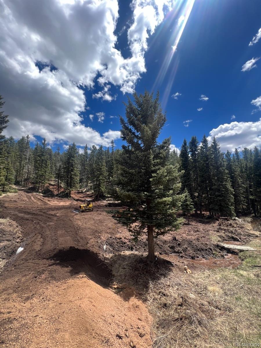 1570 Pathfinder Road Florissant CO 80816