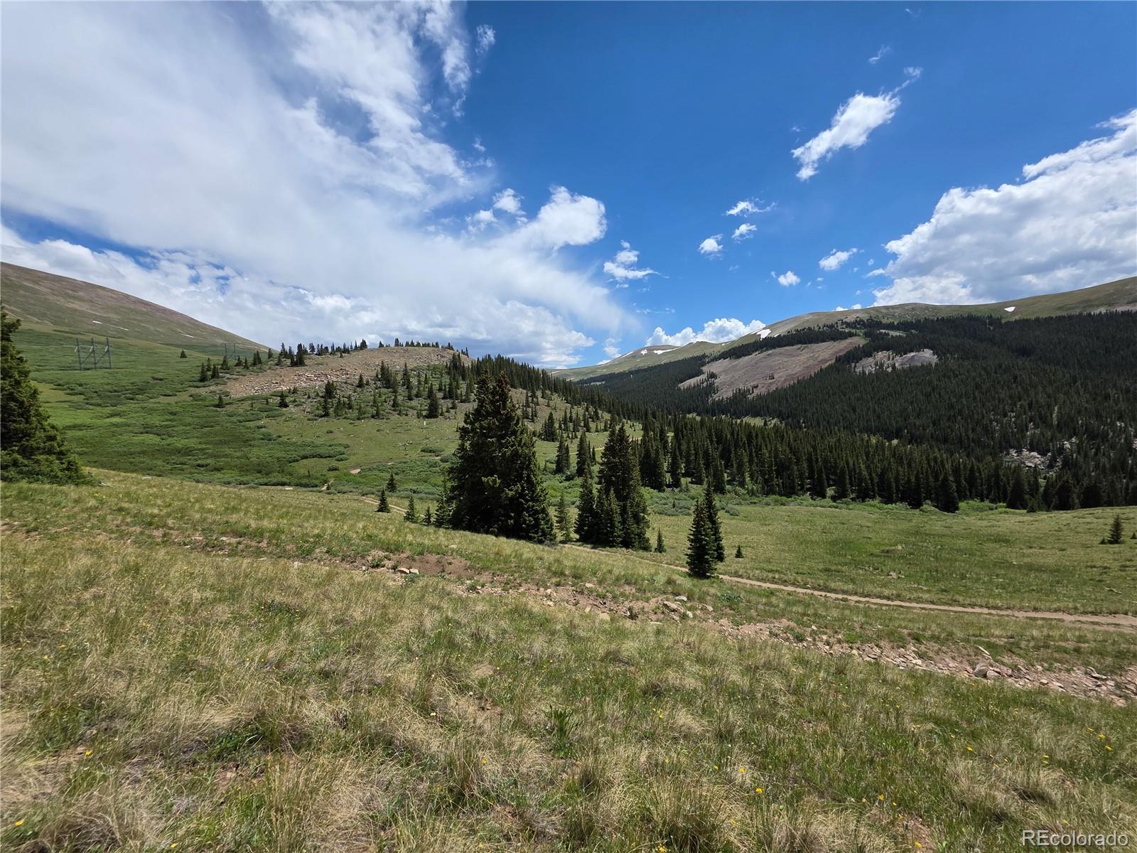 15743 Big Johnnie 13 Leadville CO 80461