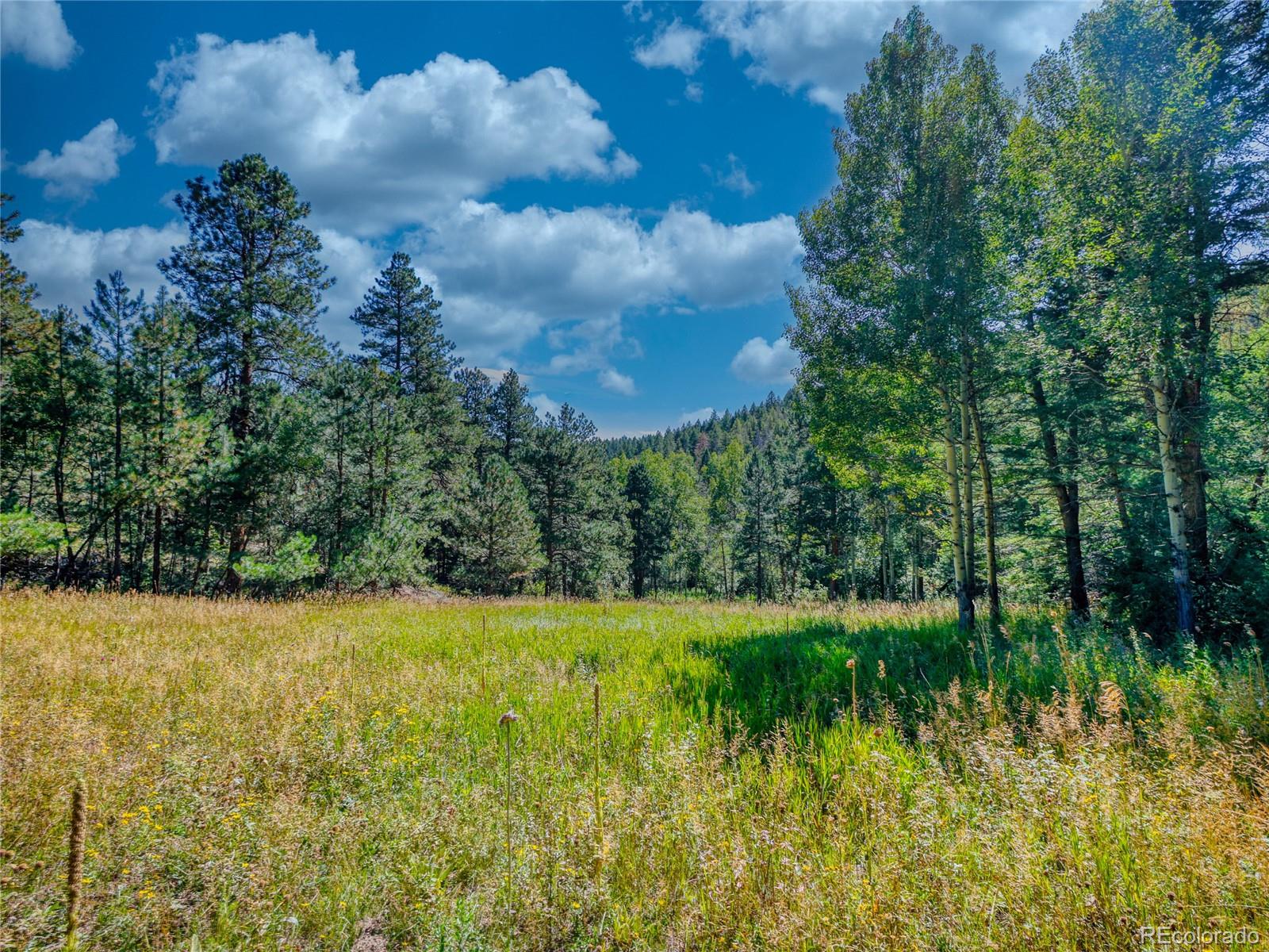 0 Indian Springs Conifer CO 80433