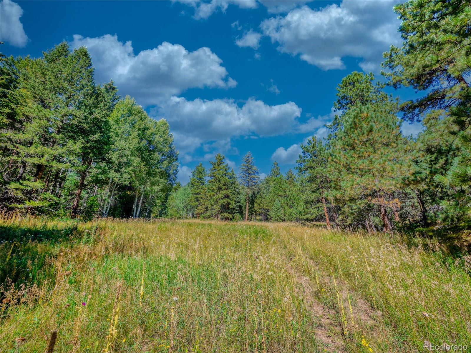 0 Indian Springs Conifer CO 80433