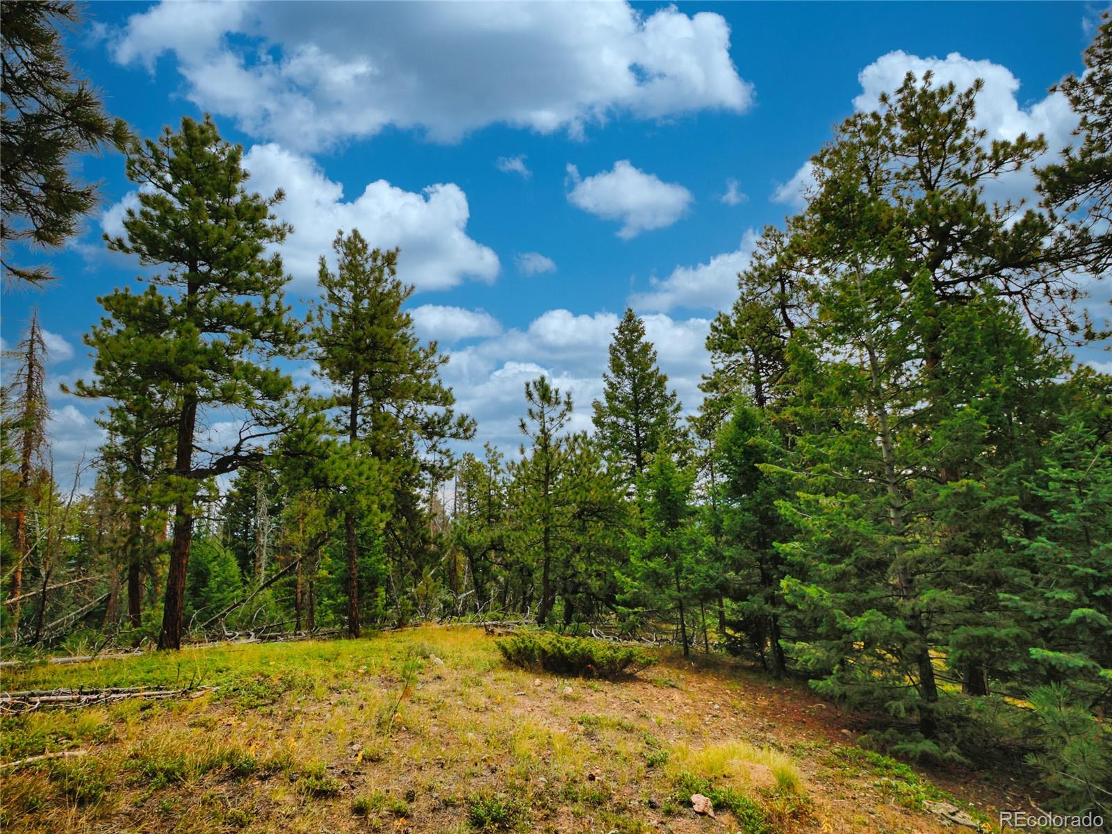 0 Indian Springs Conifer CO 80433