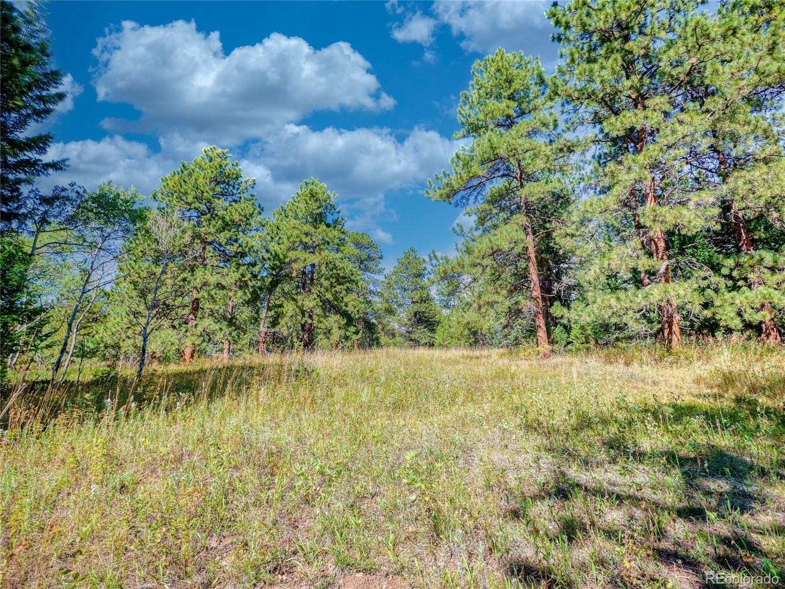 0 Indian Springs Conifer CO 80433