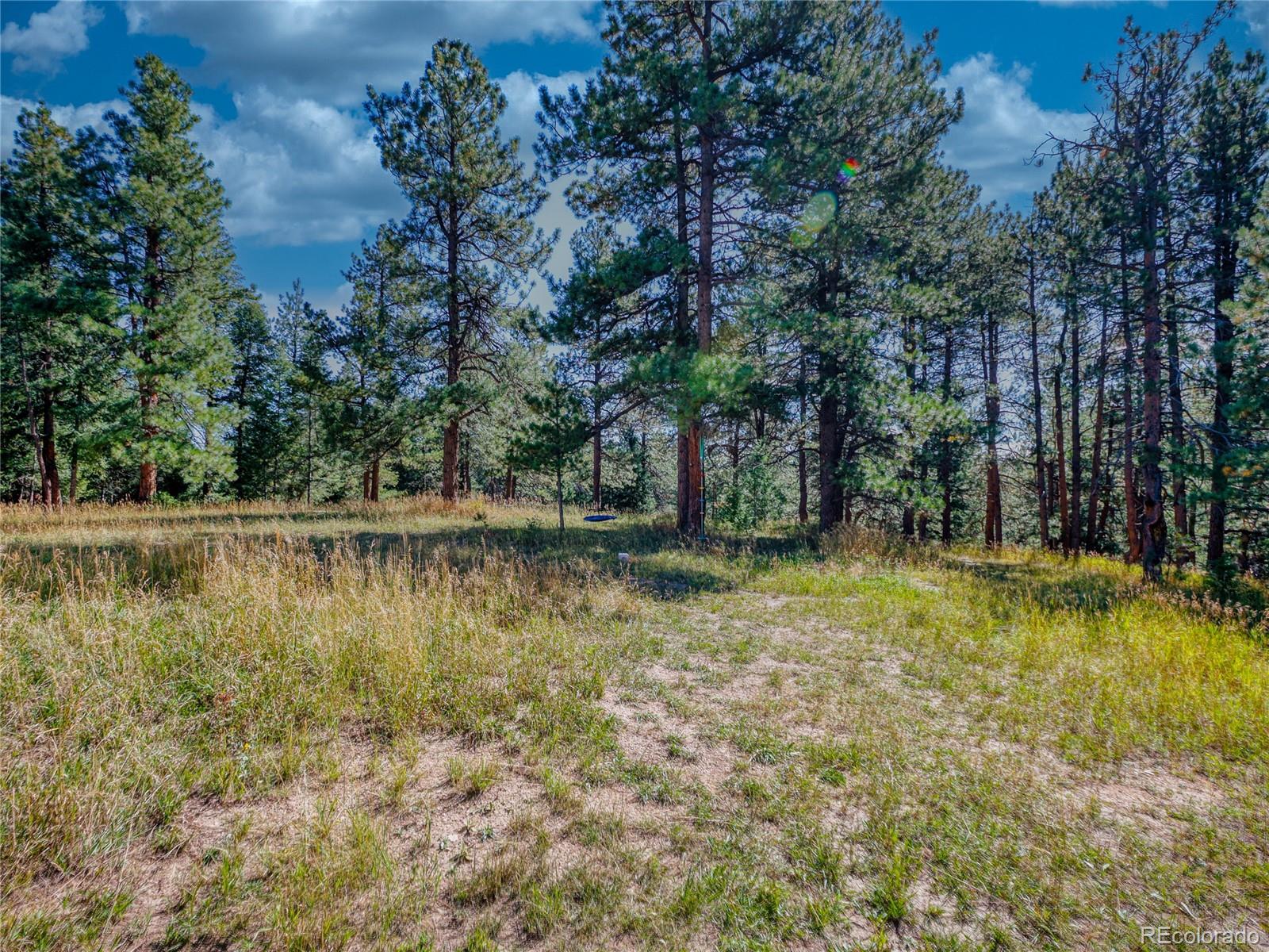 0 Indian Springs Conifer CO 80433