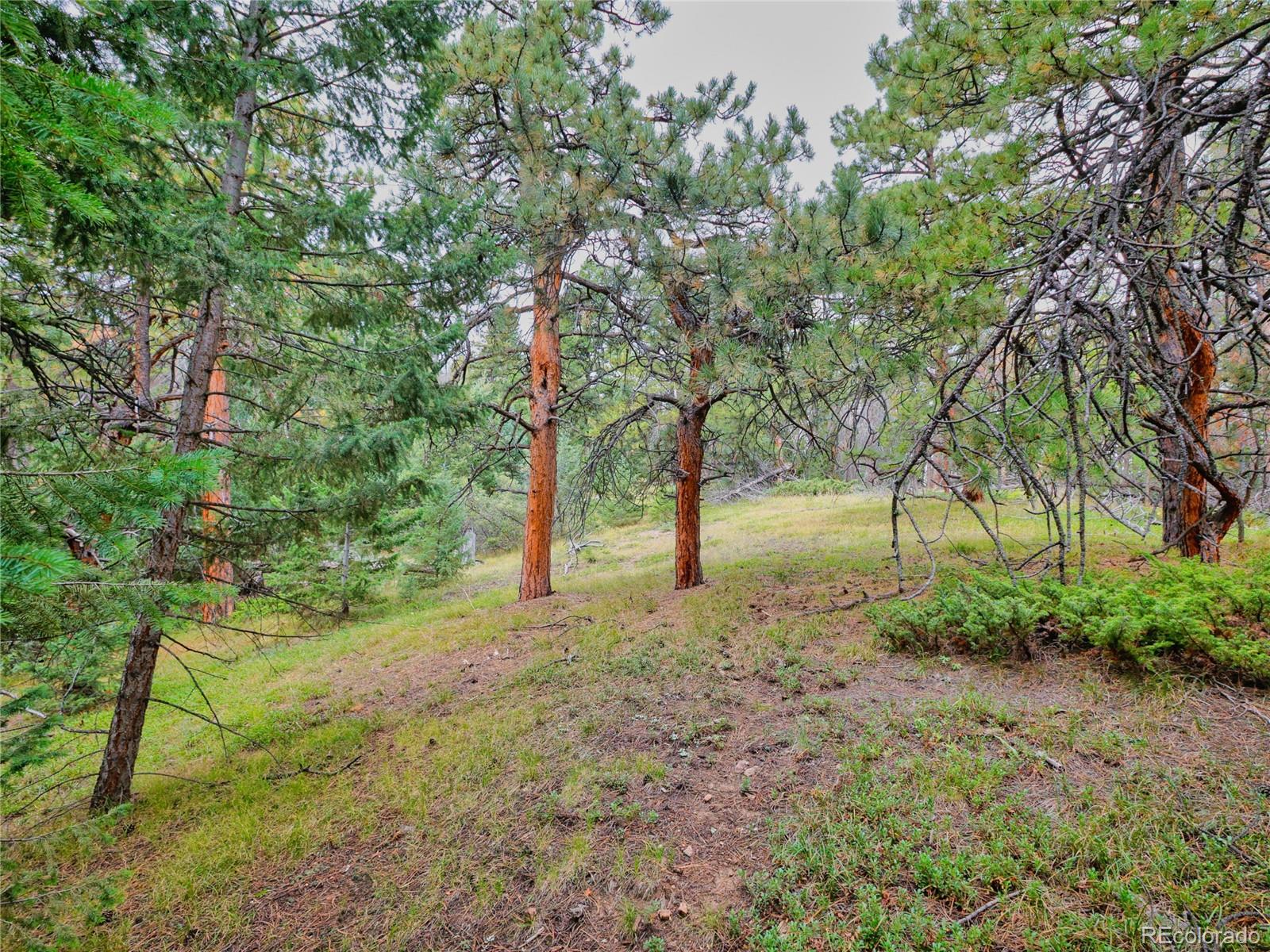 0 Indian Springs Conifer CO 80433