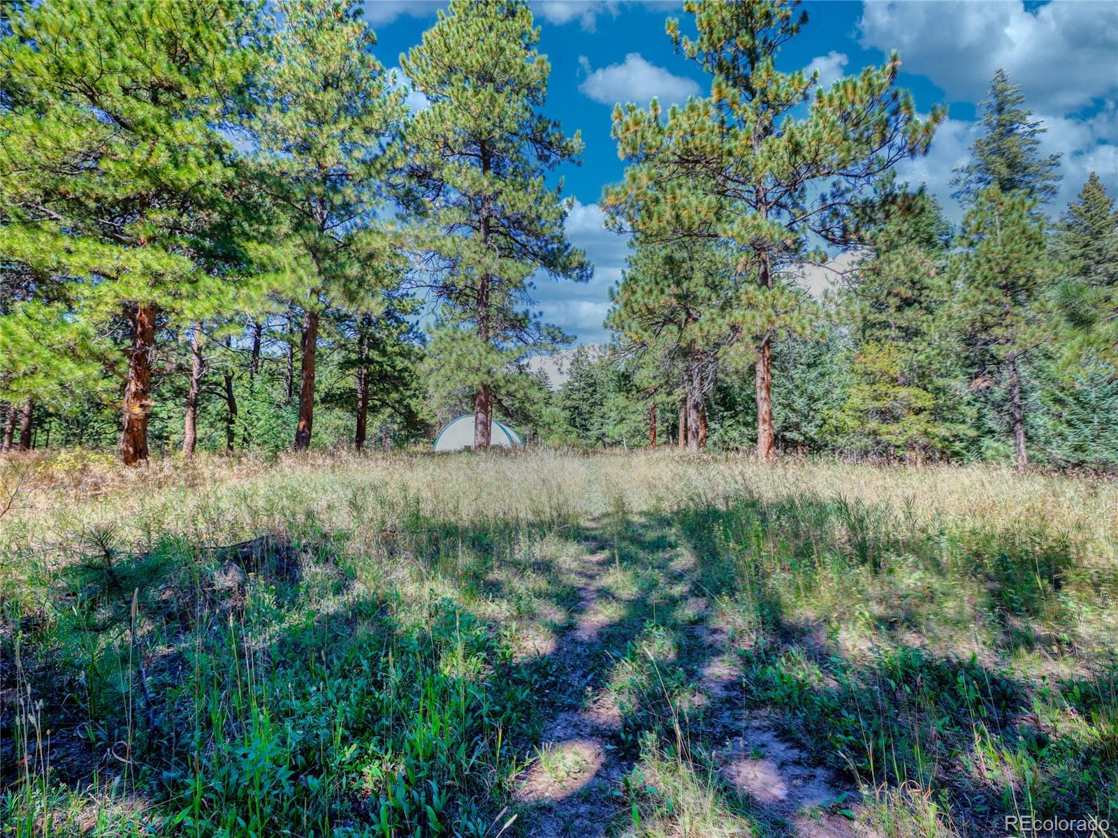 0 Indian Springs Conifer CO 80433