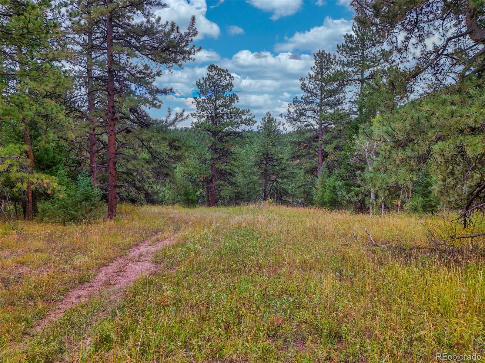 0 Indian Springs Conifer CO 80433